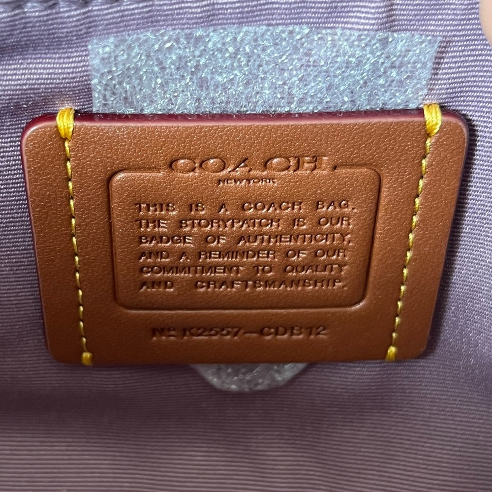 ✅Coach Ashton Mini Shoulder Bag - Picture 12 of 14